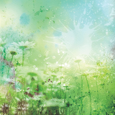 What Dreams May Come: Watercolor Chamomile