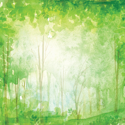 What Dreams May Come: Watercolor Chamomile