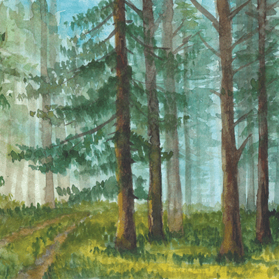 WS What Dreams May Come: Watercolor Forest