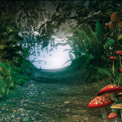 Woodland Elf: Woodland Gateway