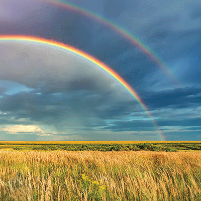 Weather the Storm: Blue Skies