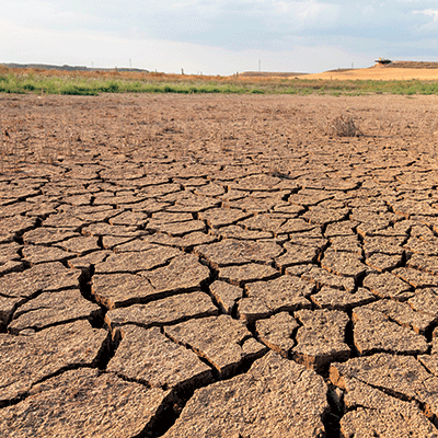 WS Weather the Storm: Drought