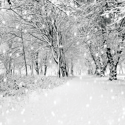 WS Weather the Storm: Drought