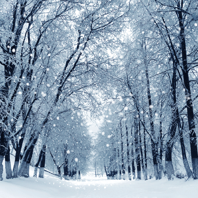 WS Winter Is Coming: Winter Park