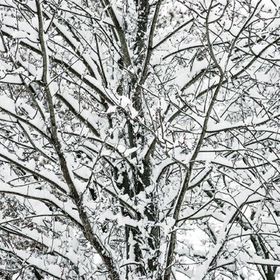 Winter Is Coming: Winter Park