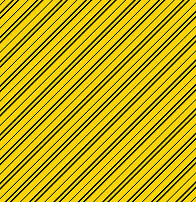 WS Wizard 101: Plaid #1