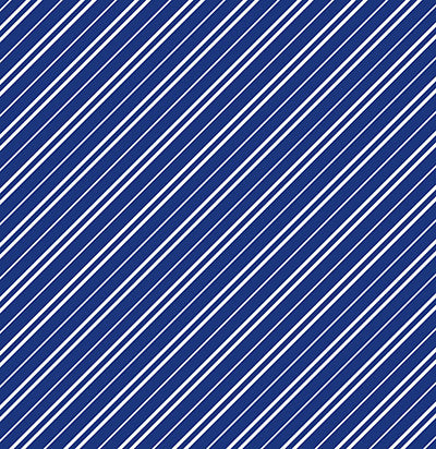 WS Wizard 101: Plaid #2