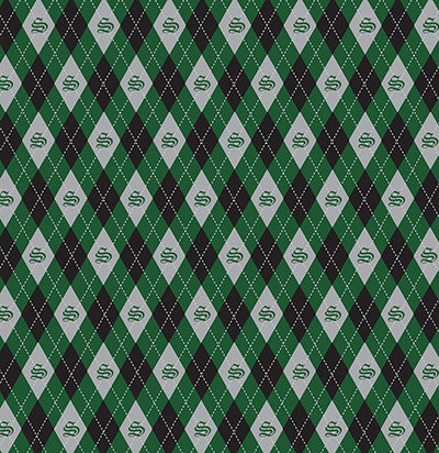 WS Wizard 101: Plaid #3