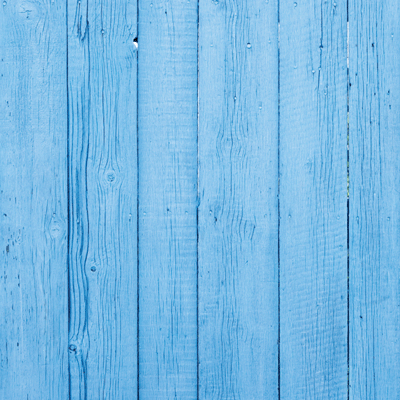 Wildflower: Dandelion Wish