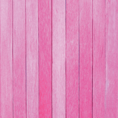 WS Wildflower: Cosmos Flower Field