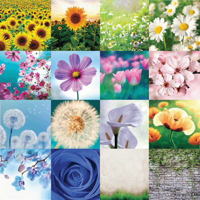 Wildflower: Wall of Ivy