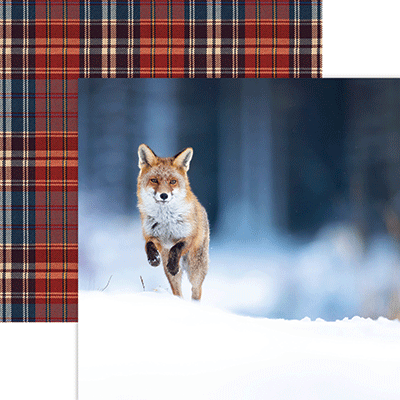 WS Winter Canvas: Snow Leap