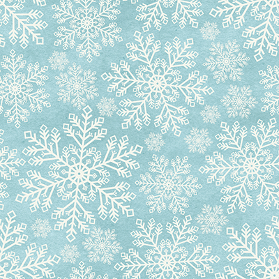 Winterscape: Through the Woods