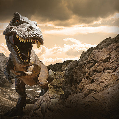 WS Worlds of Adventure: Jurassic Adventure