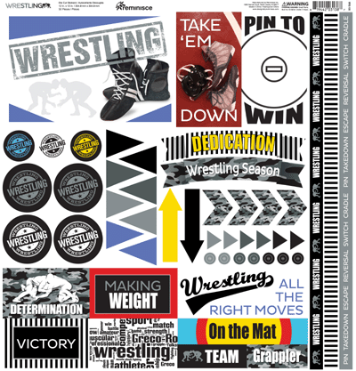 WS Wrestling 2020: Wrestling 12x12 Elements Sticker