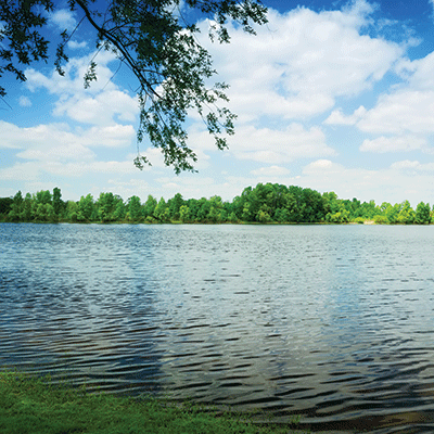 WS Watersports: Lakeside