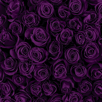 Welcome to Wonderland: Fantasy Chess