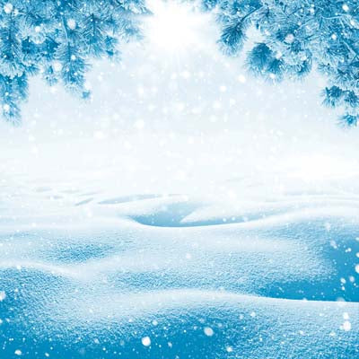 Winter Wonderland: Winter Stars