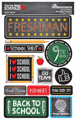 You've Been Schooled: 9th Grade 3D Sticker