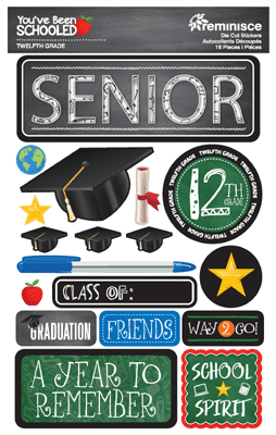 WS You've Been Schooled: 12th Grade 3D Sticker
