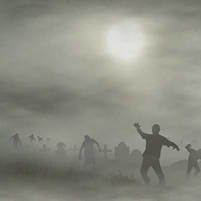 WS Zombies! : Attack!