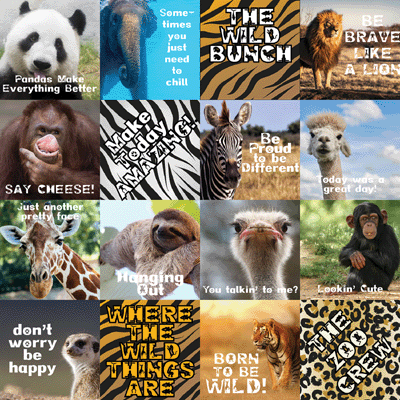 WS Zooventures: Zooventures