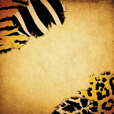 Zooventures: Wild Thing