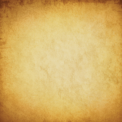 WS Zooventures: Wild Thing