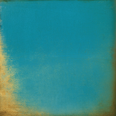 WS Zooventures: Go Wild